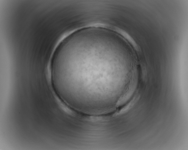 X0000114431032200910161331