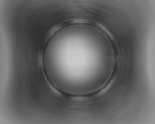 X0000114431033200910161331
