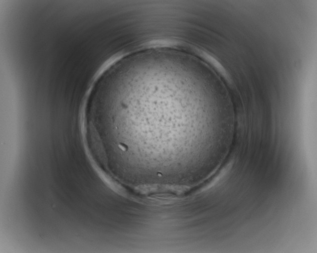 X0000114431034200910161331