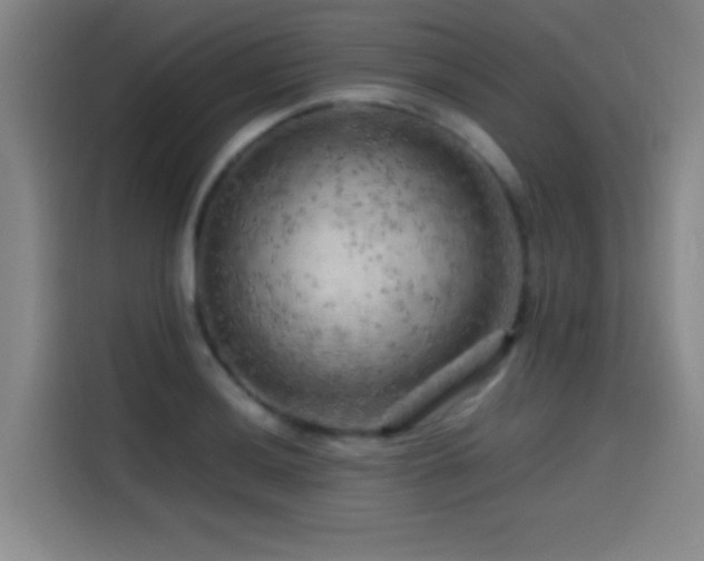 X0000114431036200910161331