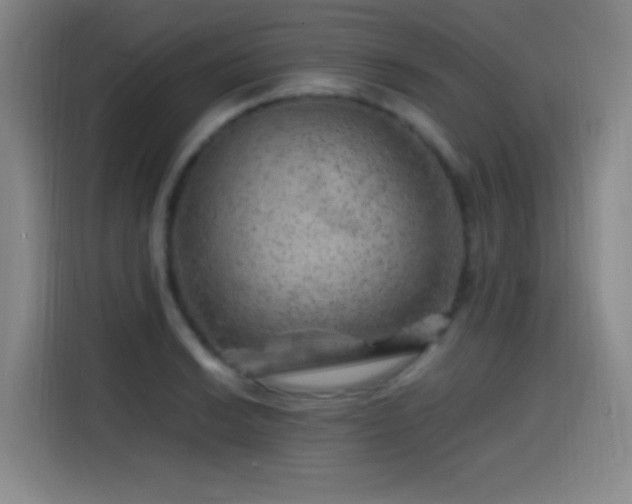 X0000114431038200910161331