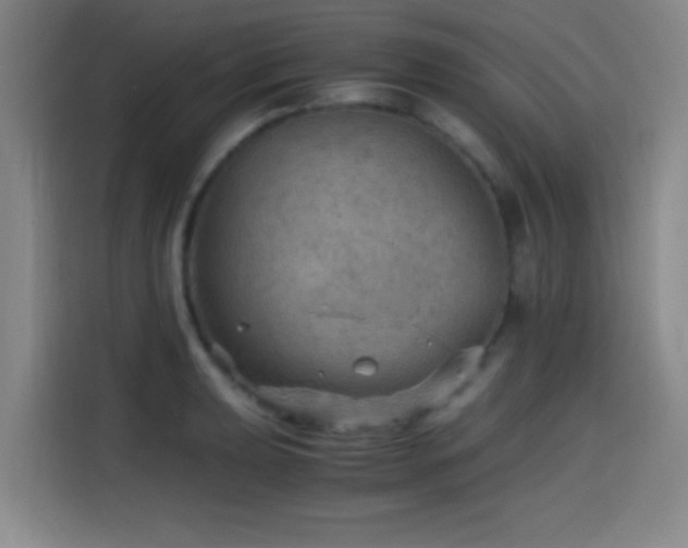 X0000114431039200910161331