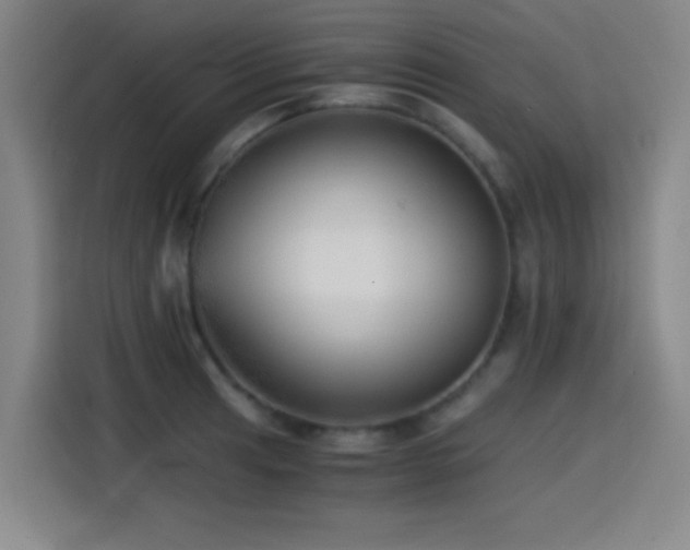 X0000114431041200910161331