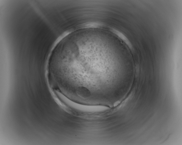 X0000114431042200910161331