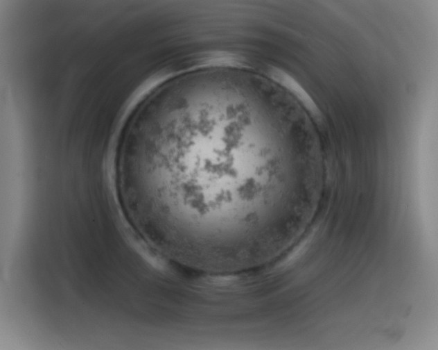 X0000114431043200910161331