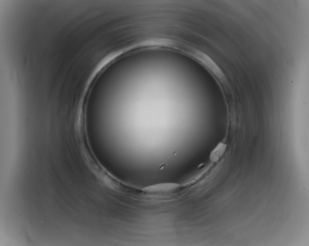 X0000114431044200910161331