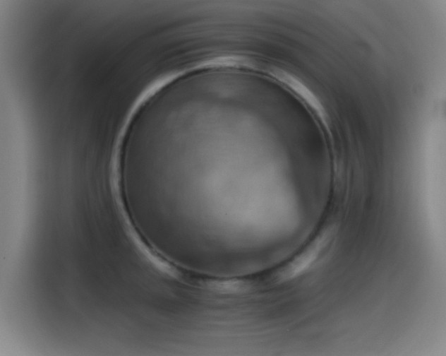 X0000114431045200910161331