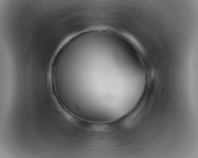 X0000114431046200910161331