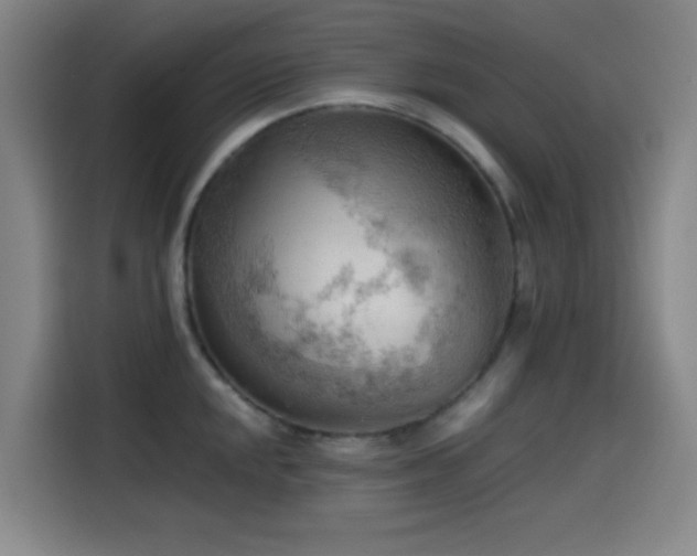 X0000114431048200910161331