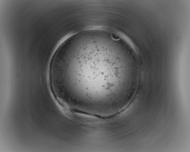 X0000114431050200910161331