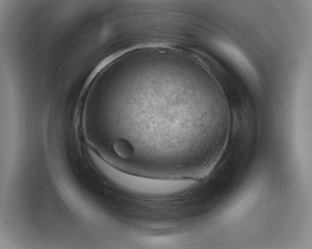 X0000114431052200910161331