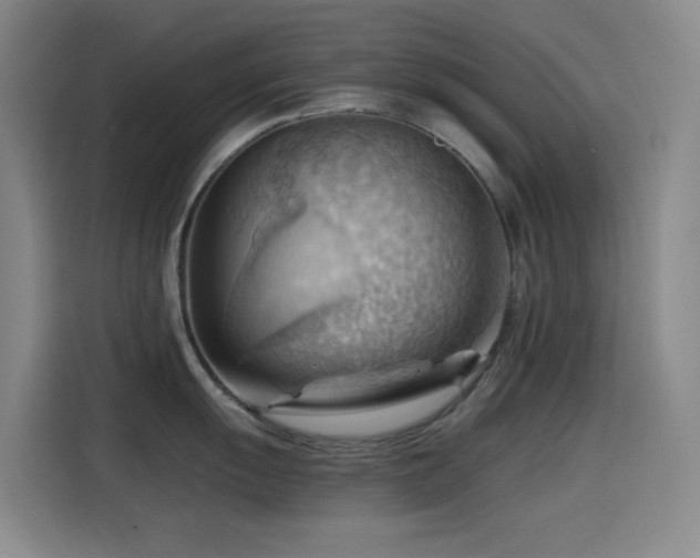 X0000114431055200910161331