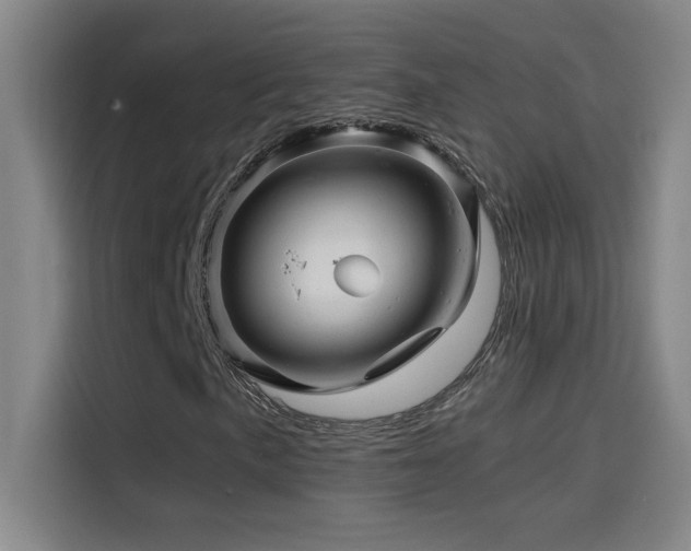 X0000114431057200910161330