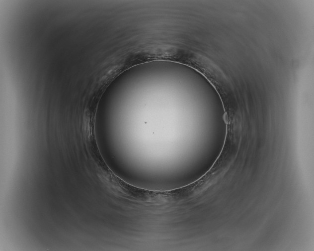X0000114431058200910161330