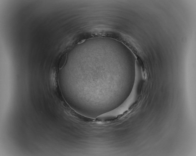 X0000114431060200910161330