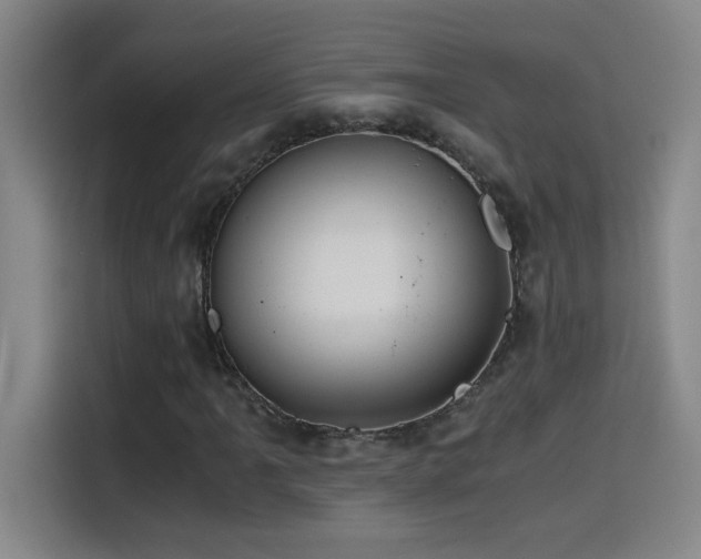 X0000114431061200910161330