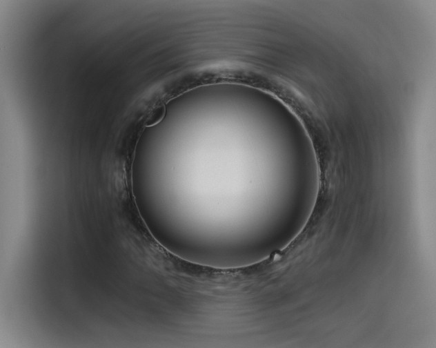 X0000114431062200910161330