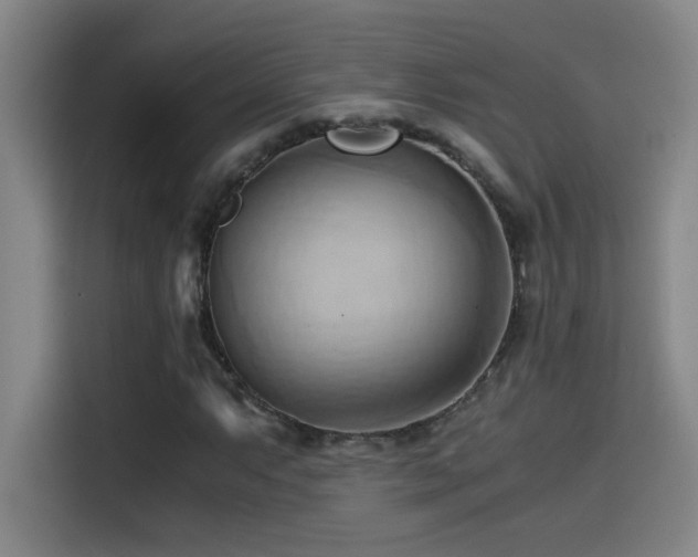 X0000114431063200910161330