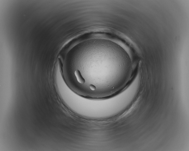 X0000114431065200910161330