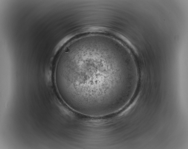 X0000114431066200910161330