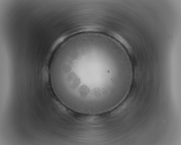 X0000114431067200910161330