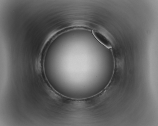 X0000114431068200910161330