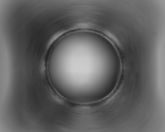 X0000114431070200910161330