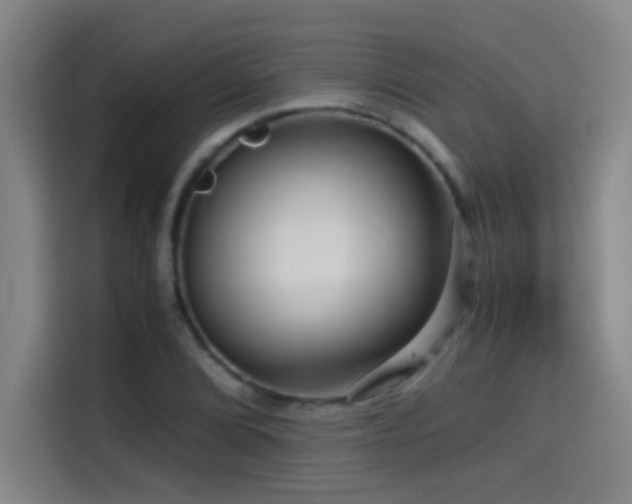 X0000114431072200910161330