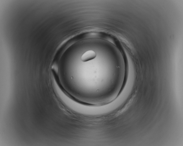 X0000114431073200910161330