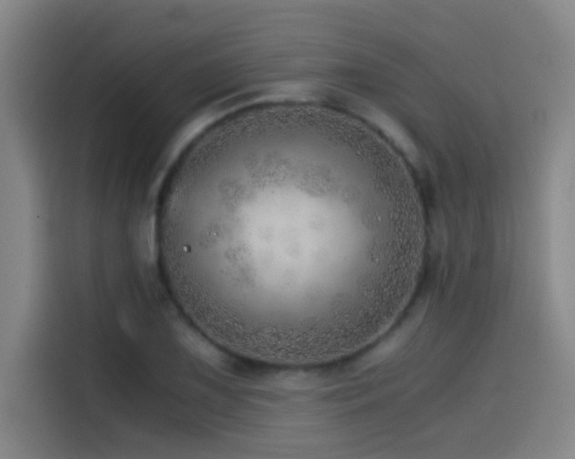 X0000114431075200910161330