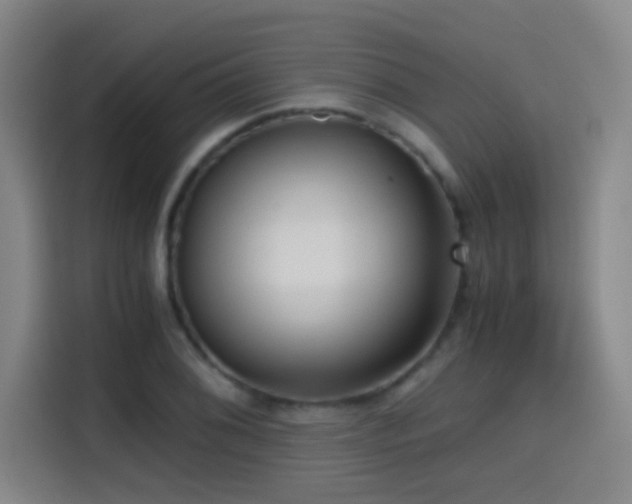 X0000114431076200910161330