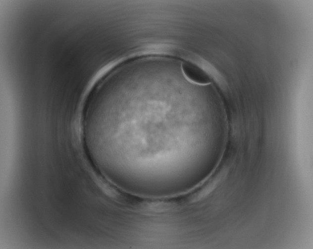 X0000114431077200910161330