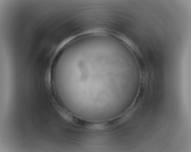 X0000114431078200910161330
