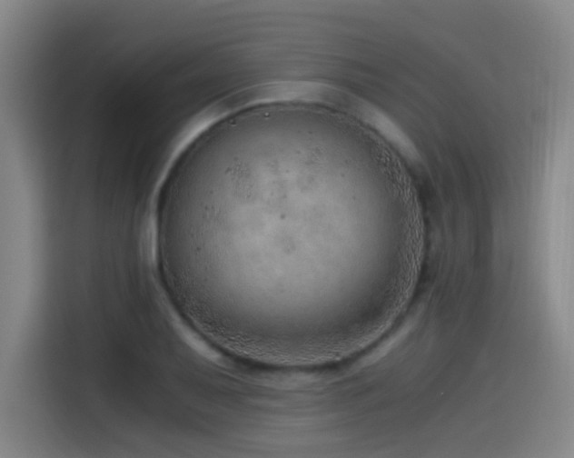 X0000114431079200910161330