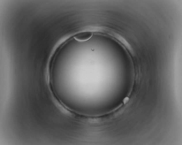 X0000114431080200910161330