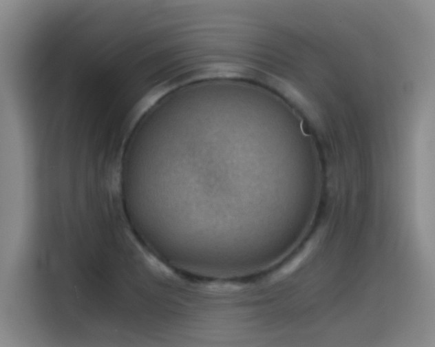 X0000114431081200910161330