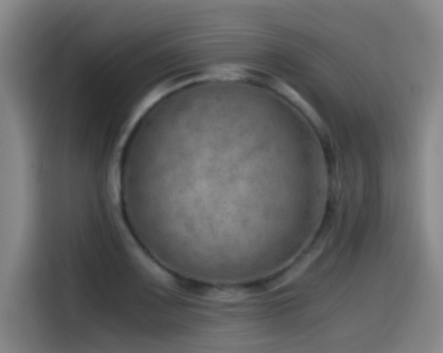 X0000114431083200910161330