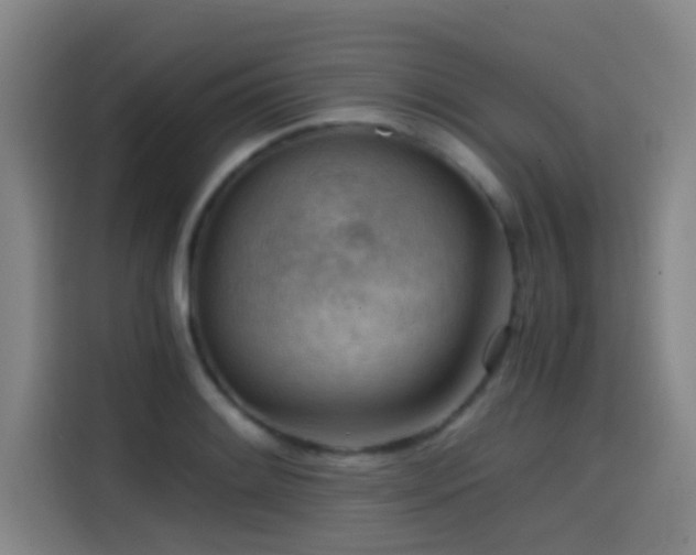 X0000114431084200910161330