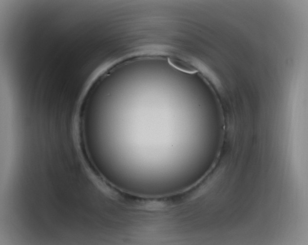 X0000114431085200910161330
