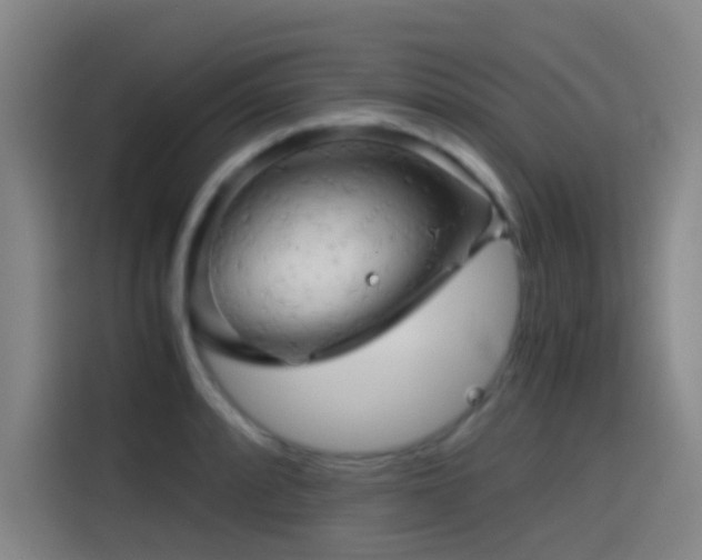 X0000114431088200910161330