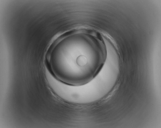 X0000114431089200910161330