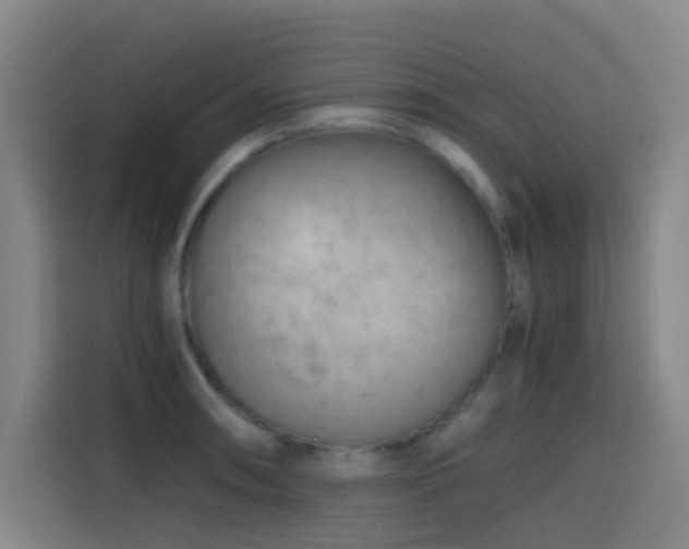 X0000114431090200910161330