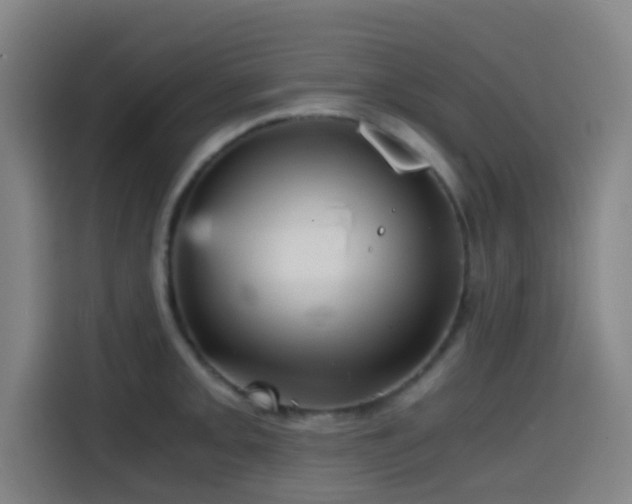 X0000114431093200910161330
