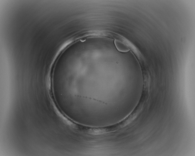 X0000114431095200910161330