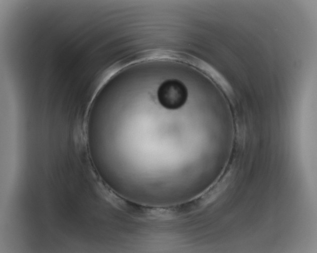 X0000114431097200910161330