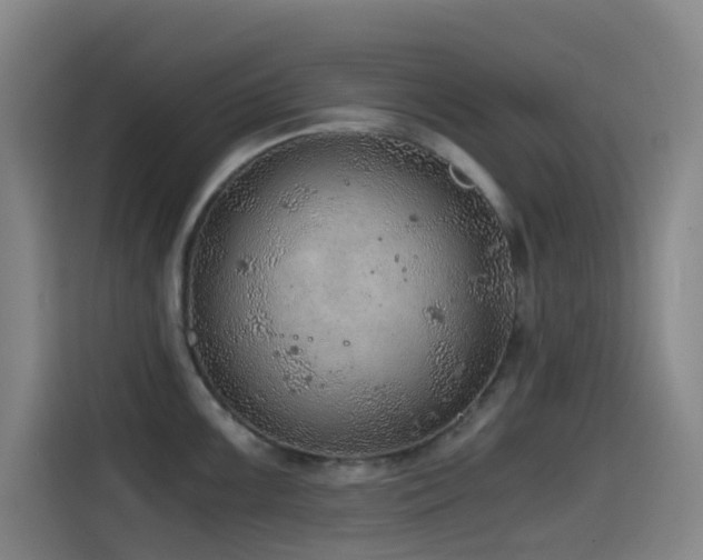 X0000114431099200910161330