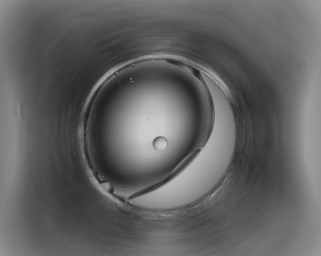X0000114431100200910161330