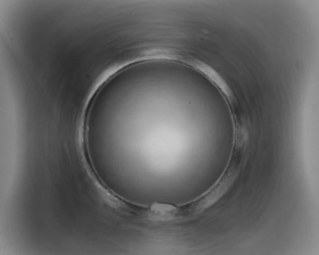 X0000114431101200910161330