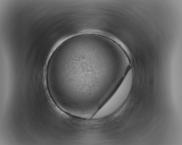 X0000114431102200910161330