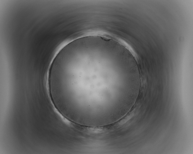 X0000114431103200910161330